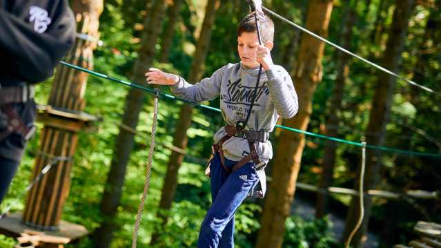 Go Ape Alice Holt - Featured Image - 9