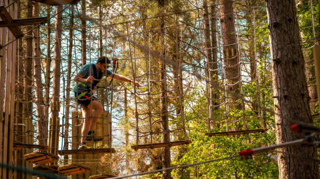 Go Ape Thetford - Featured Image - 4