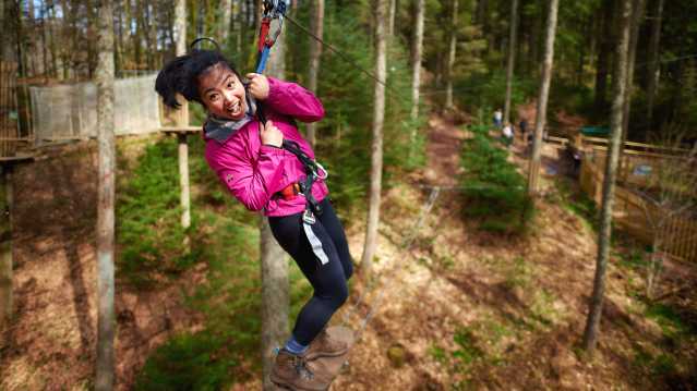 Go Ape Grizedale - Featured Image - 12