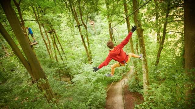 Go Ape Forest of Dean - Featured Image - 12
