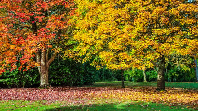 Bowood House & Gardens - Featured Image - 11