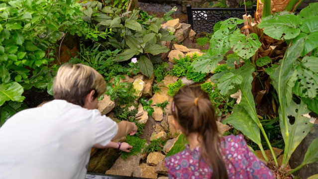 The Living Rainforest - Featured Image - 1