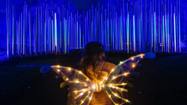 Light Cycles - Featured Image - 1