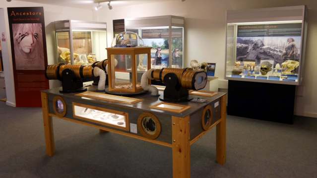 Torquay Museum - Featured Image - 4