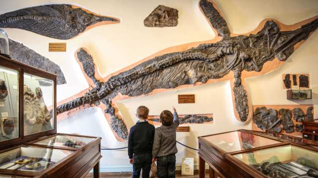 Whitby Museum - Featured Image - 1