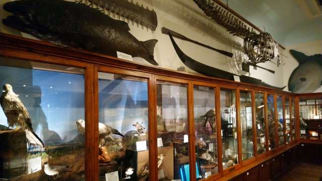 Whitby Museum - Featured Image - 3