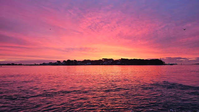 Brownsea Island - Featured Image - 6