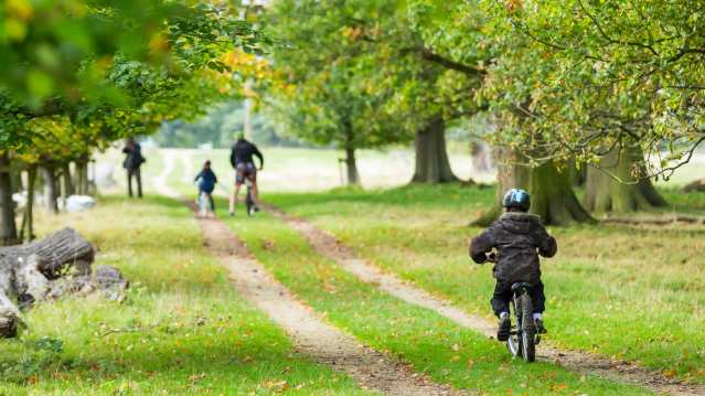 Calke Abbey - National Trust - Featured Image - 4