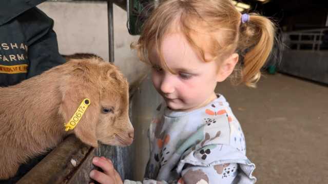 Hogshaw Farm & Wildlife Park - Featured Image - 1