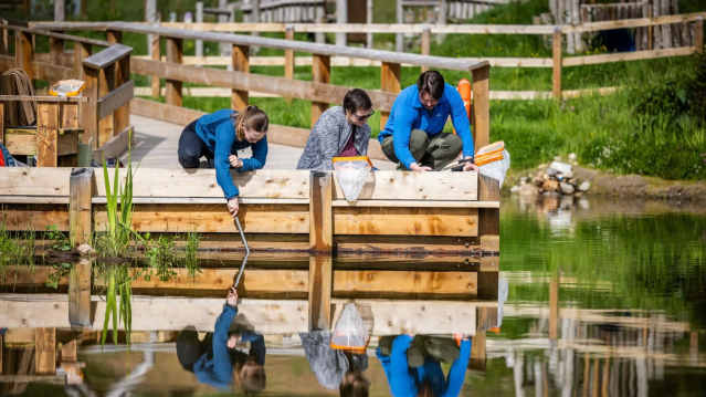 Dundreggan Rewilding Centre - Featured Image - 5