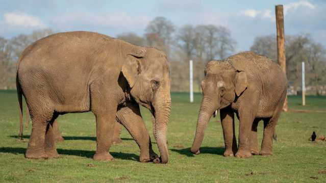 Woburn Safari Park - Featured Image - 12