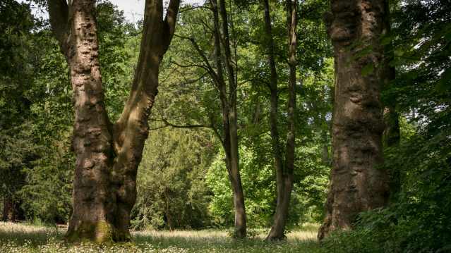 Eastnor Castle - Featured Image - 10
