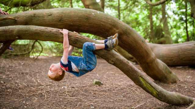 Eastnor Castle - Featured Image - 12