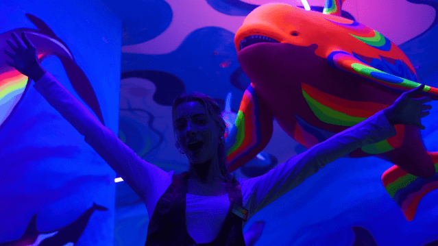 GLOBALLS Brighton - Featured Image - 5