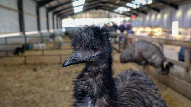 Whitehouse Farm Centre - Featured Image - 10