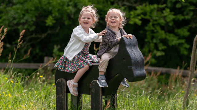 The Donkey Sanctuary - Featured Image - 12
