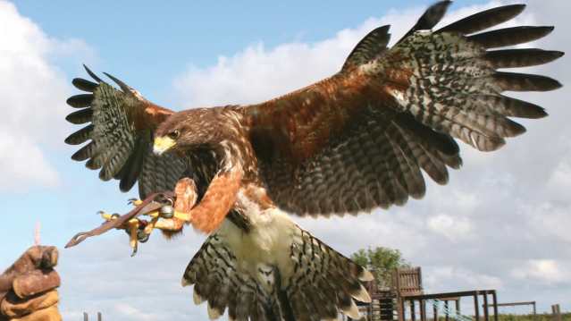 Milky Way Adventure Park - Featured Image - 4