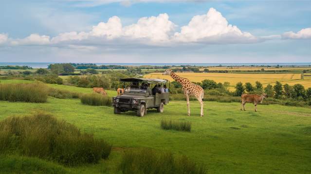Port Lympne Safari Park - Featured Image - 12