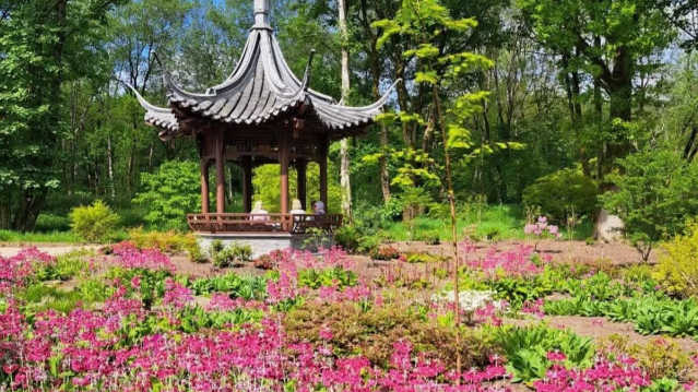 oriental garden surrounded by trees and pink flowers