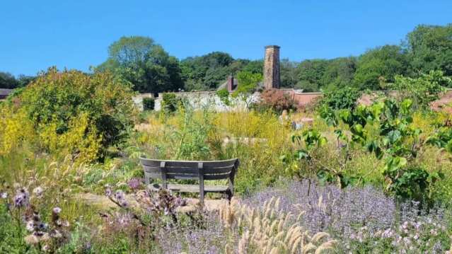 Scenic bench surrounded by wildflowers and tall grasses in the borders at RHS Garden Bridgewater, ideal for peaceful family strolls in nature.