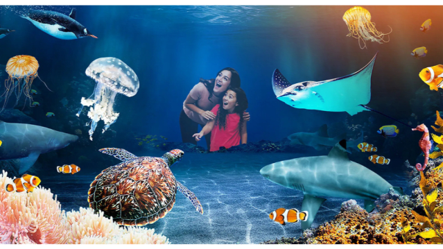 SEA LIFE Birmingham - Image 12