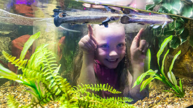girl watching fishes