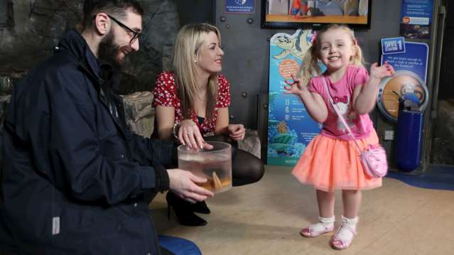 daughter mum and dad at sea life