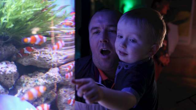 dad and son looking at fish