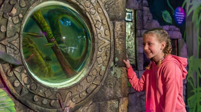 girl looking into fish tank