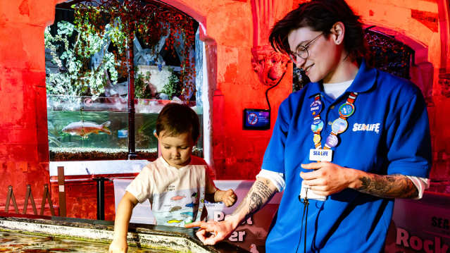 sea life worker helping kid