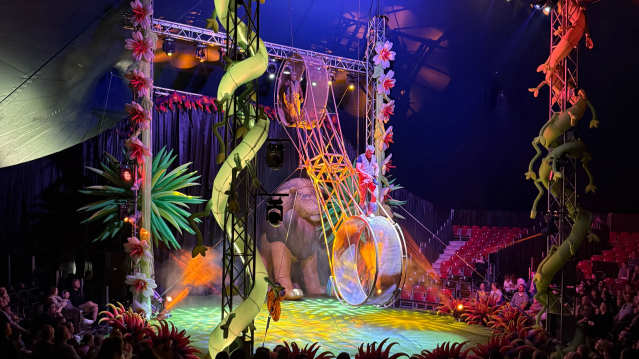 Big Kid Circus - Featured Image - 2