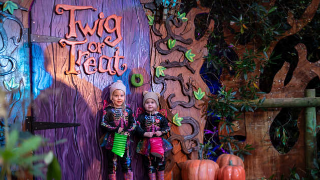 kids in front of twig or treat sign holding bags of sweets