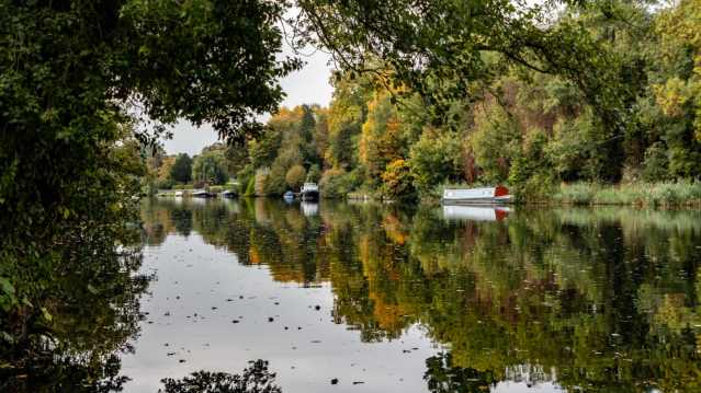 Cliveden Gardens and Maze - National Trust - Featured Image - 12