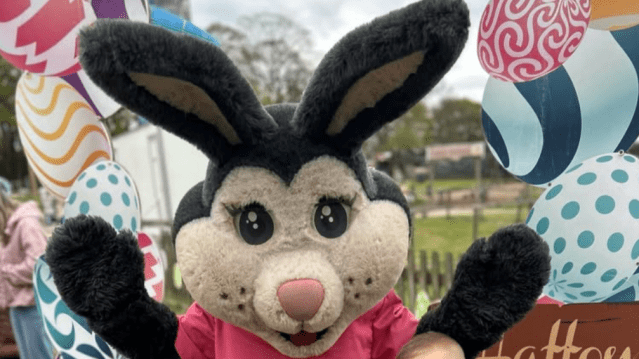 Hatton Adventure World - Featured Image - 5