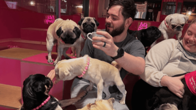 CuppaPug Cafe London - Featured Image - 2