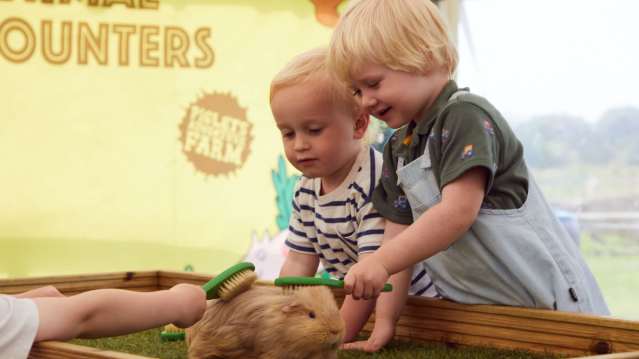 Piglets Adventure Farm Park - Featured Image - 7