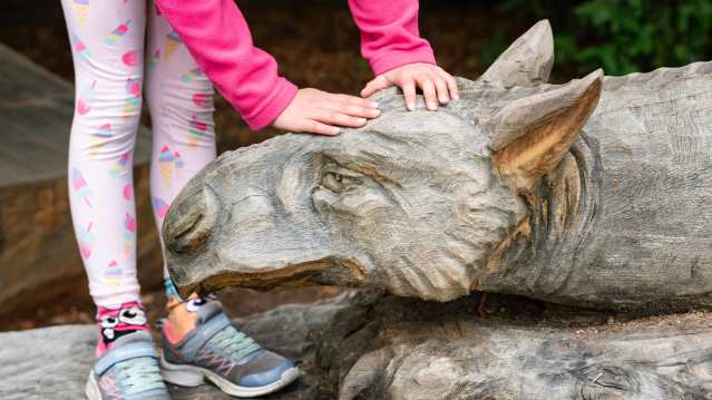 Powis Castle and Garden - National Trust - Featured Image - 6