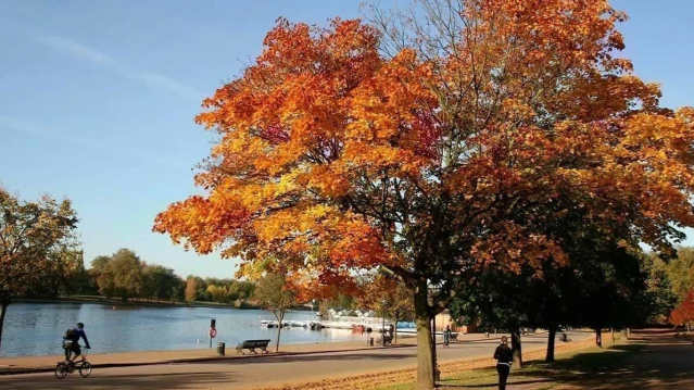Hyde Park - Featured Image - 3