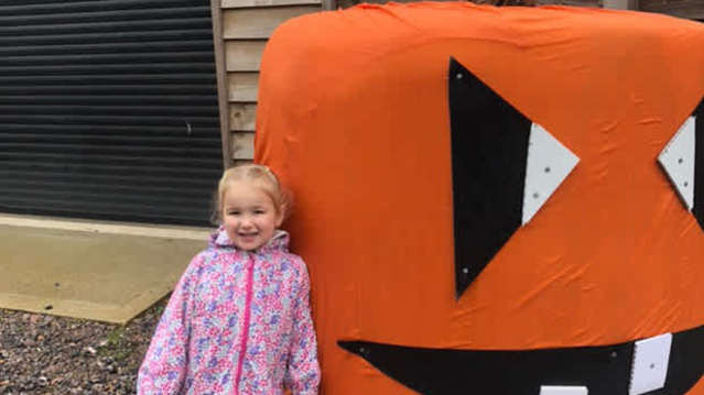 Halloween pumpkin fun at Blackberry Farm Park in Brighton, East Sussex