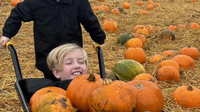 Pumpkins in the picking field at Craigies Farm, South Queensferry, Edinburgh