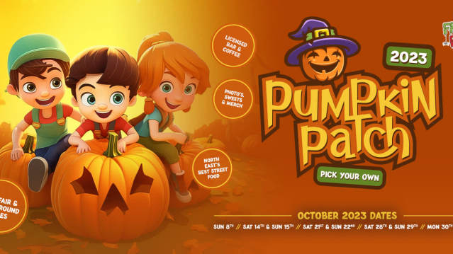 Pumpkins in the patch at Family Fright Fest, Lintz Hall Farm near Newcastle upon Tyne