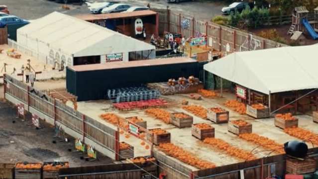 Halloween pumpkin display at Lewis of London Ice Cream Farm, London, Greater London