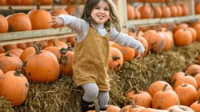 Pumpkins and Halloween decorations at the open farm in Milton Keynes, Bedfordshire