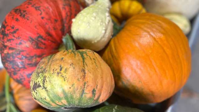 A mix of pumpkin and squash varieties stacked in a display at the farm in Lichfield, Staffordshire
