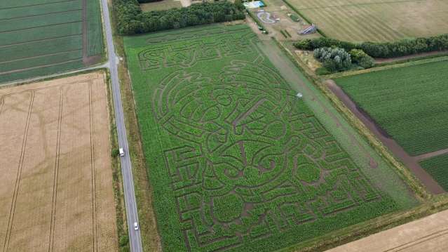 Aerial view of the maize maze and funyard at Skylark Events near Peterborough, Cambridgeshire