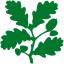 National Trust oak leaf motif