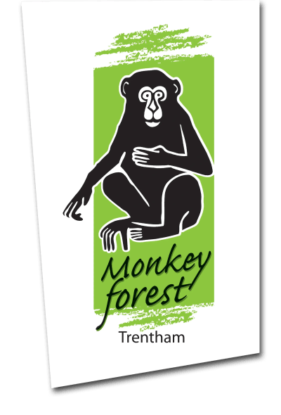 Decorative blur behind Trentham Monkey Forest logo