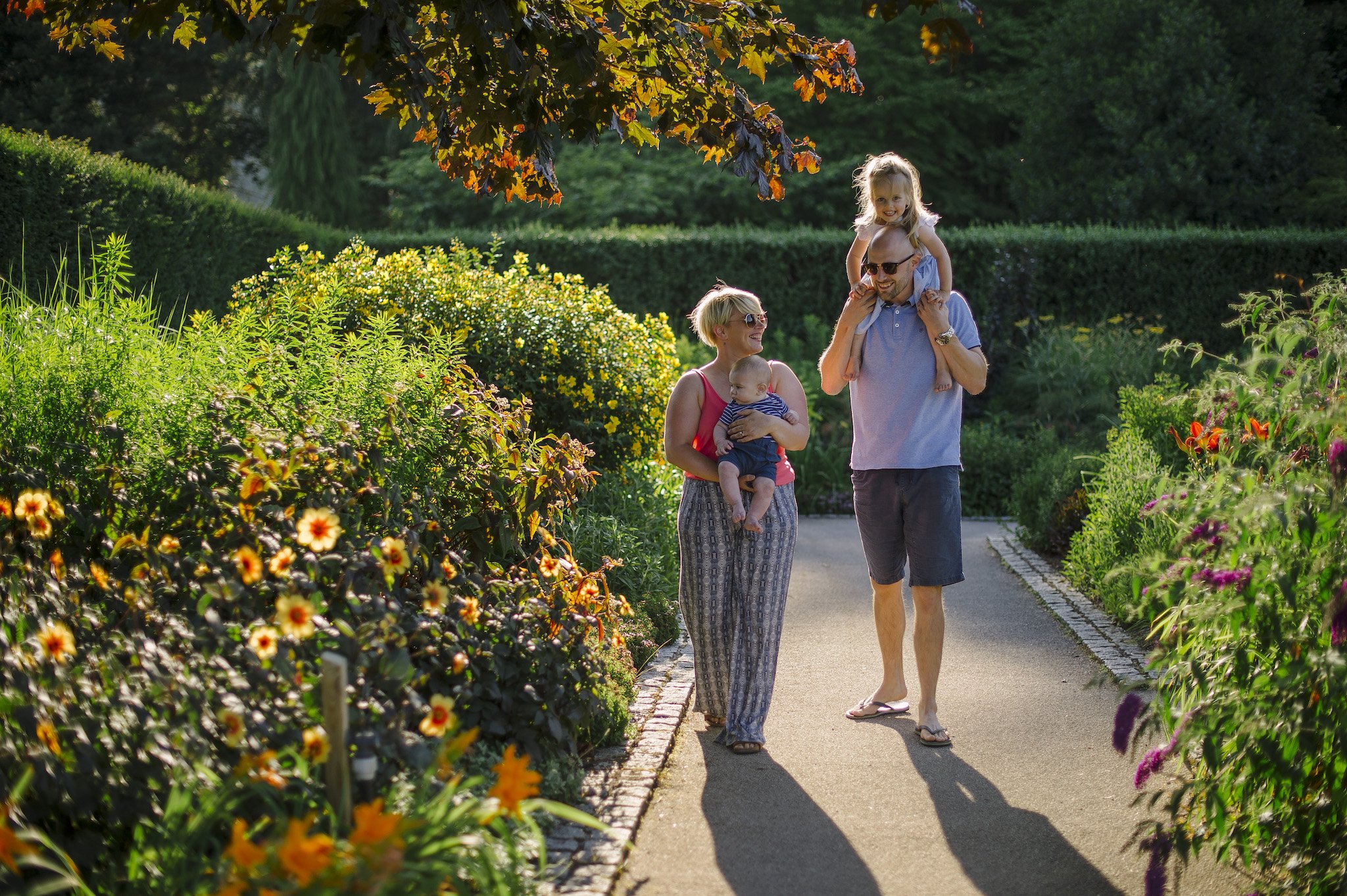 RHS Garden Rosemoor Tickets
