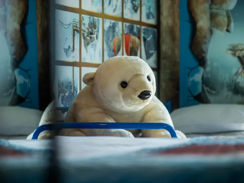 Arctic Explorer Room