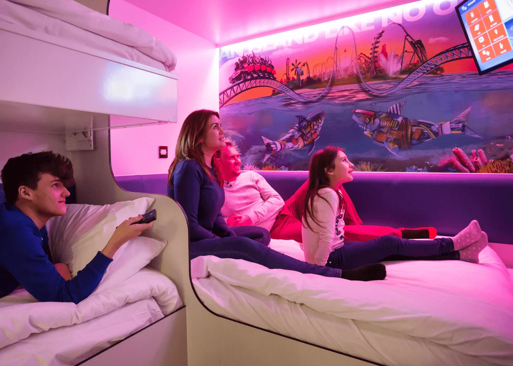 Standard Shark Cabin 2